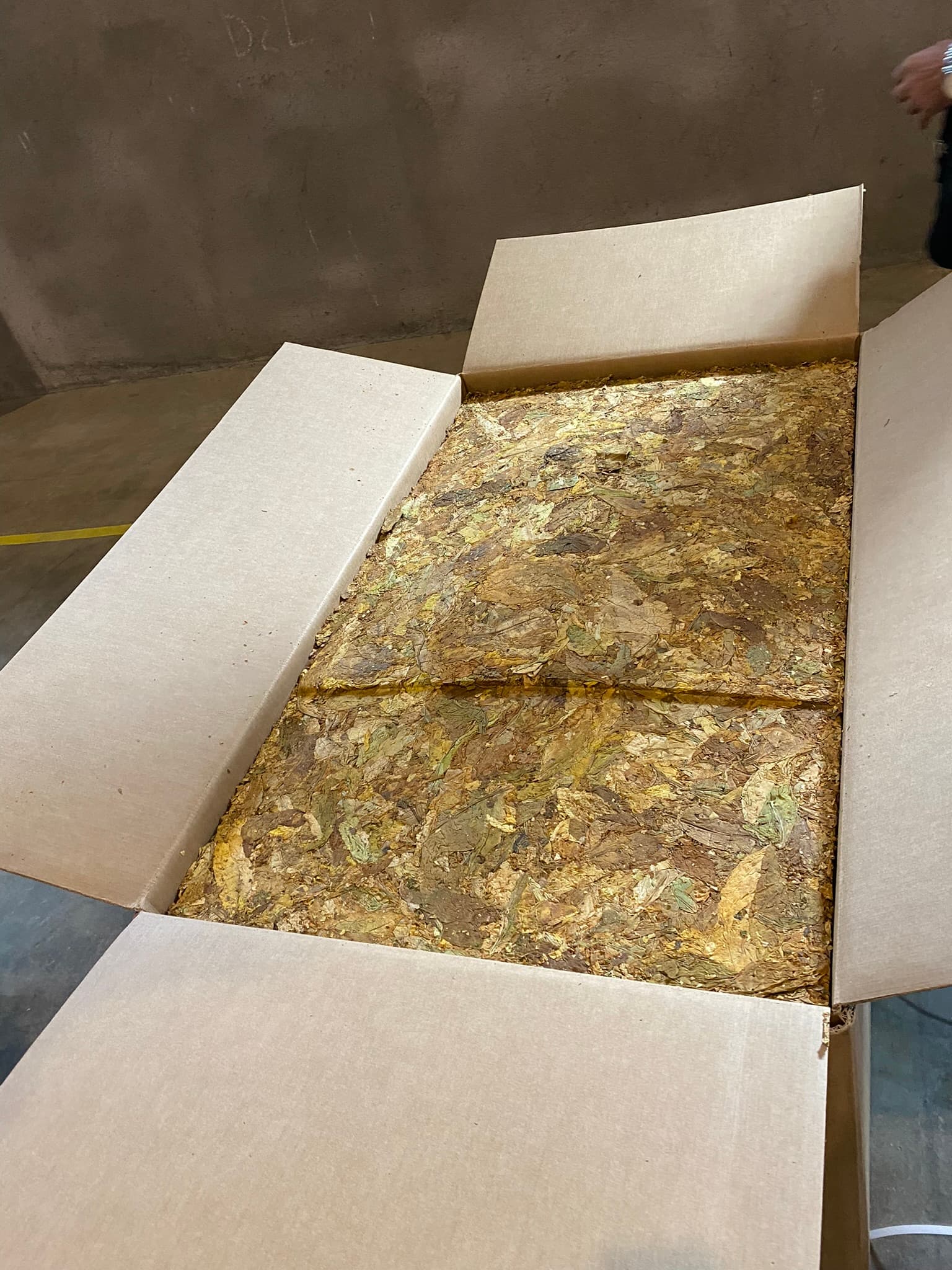 Tobacco processing