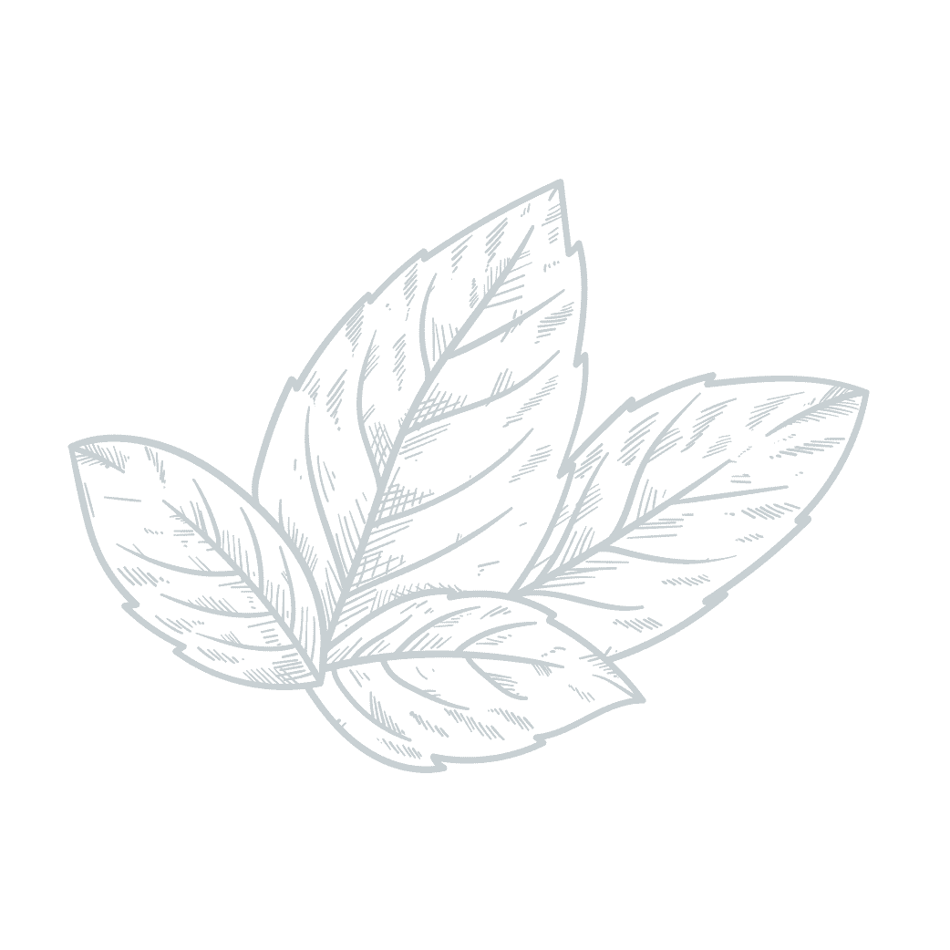 tobacco leaf